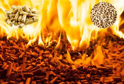Analysis of combustion characteristics of different kinds of biomass