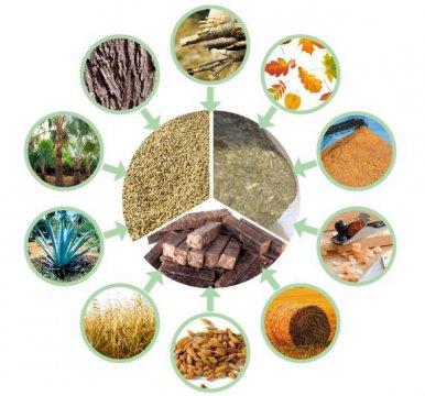 Marketing strategy for biomass pellet fuel